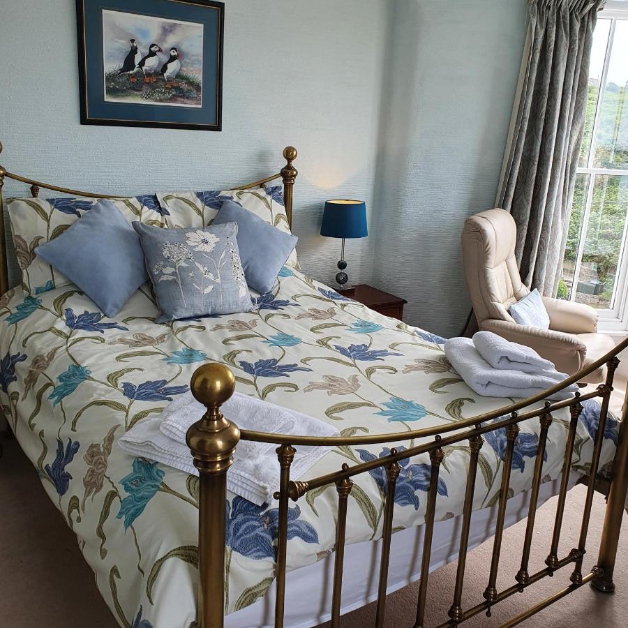 Pendyffryn Manor Bed & Breakfast Little Haven Exterior foto